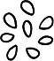 虛空地母